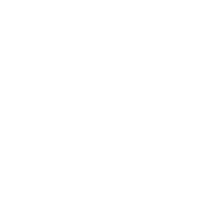 rheem